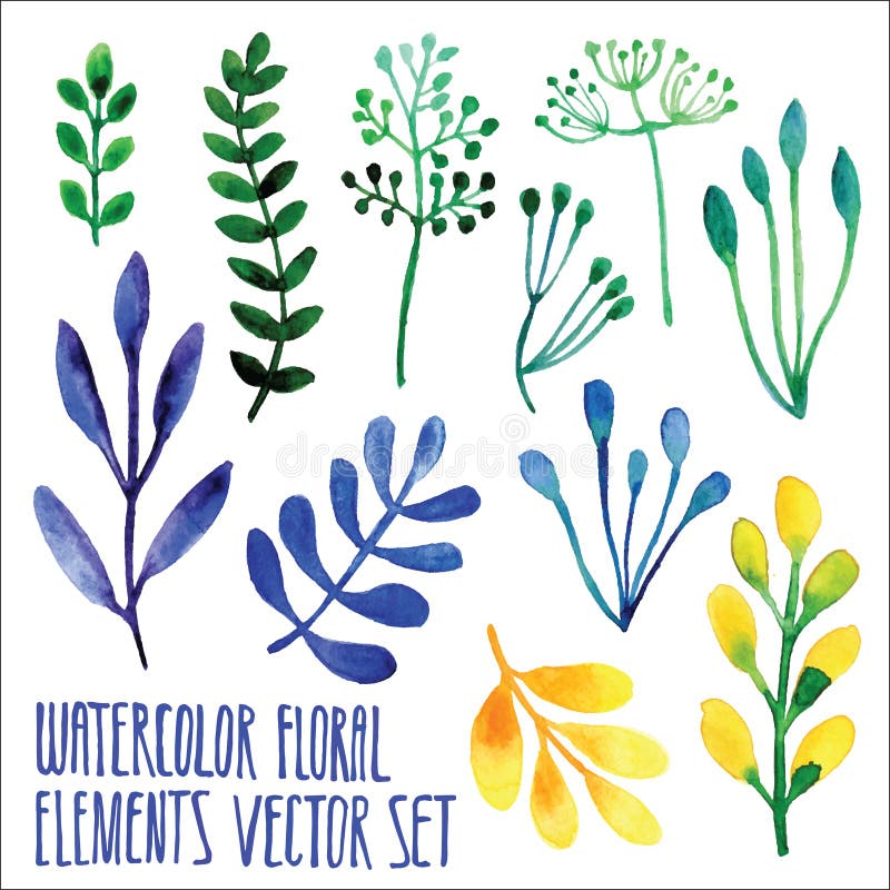 Insieme floreale di vettore Raccolta floreale variopinta con le foglie, acquerello di disegno Primavera o progettazione di estate illustrazione vettoriale Insieme floreale di vettore Raccolta floreale variopinta con le foglie, acquerello di disegno Primavera o progettazione di estate illustrazione vettoriale