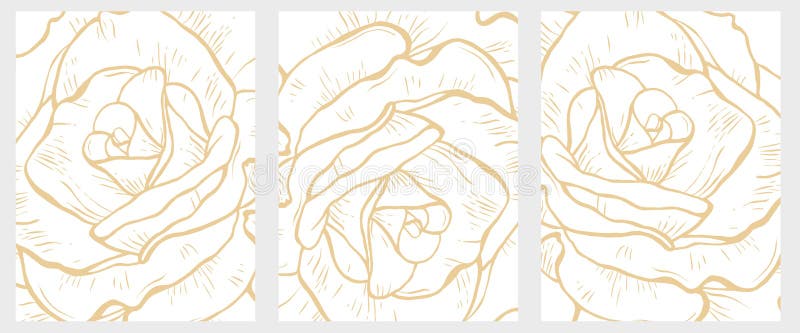Insieme floreale disegnato a mano delicato delle illustrazioni di vettore Dettaglio astratto delle rose del grande oro royalty illustrazione gratis Insieme floreale disegnato a mano delicato delle illustrazioni di vettore Dettaglio astratto delle rose del grande oro royalty illustrazione gratis
