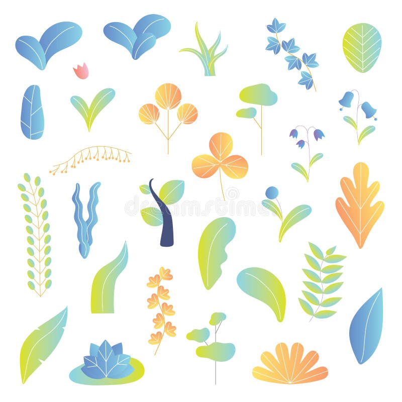 Insieme moderno della raccolta degli elementi del fondo dell'illustrazione di vettore delle piante Foglie, albero, fiori ed altre