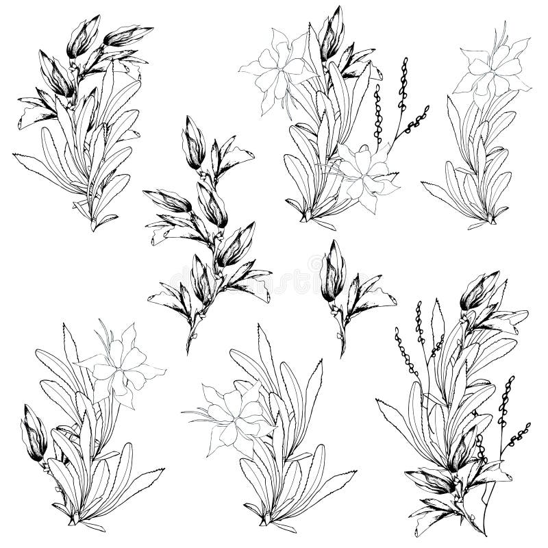 Insiemi del fiore di vettore Fiori in bianco e nero di contorno estratti con inchiostro su un fondo bianco mazzi Schizzo per i ta royalty illustrazione gratis Insiemi del fiore di vettore Fiori in bianco e nero di contorno estratti con inchiostro su un fondo bianco mazzi Schizzo per i ta royalty illustrazione gratis