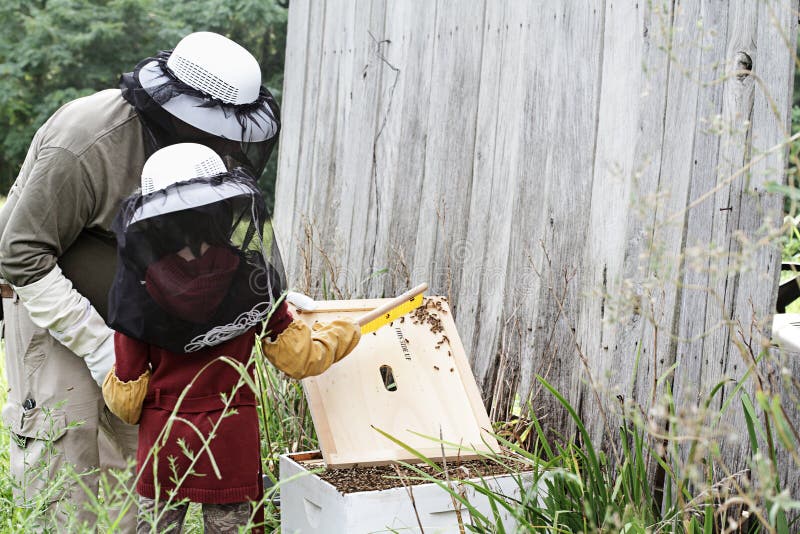 Inspecting The Hive