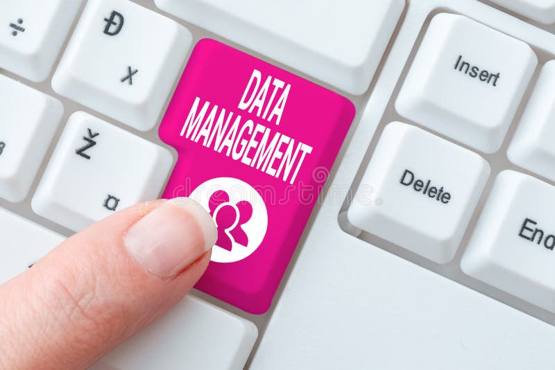 Inspiration showing sign Data Management, Internet Concept The practice of organizing and maintaining data processes Typing Difficult Program Codes, Writing New Educational Book. Processes typing difficult program codes stock images, royalty-free photos and pictures