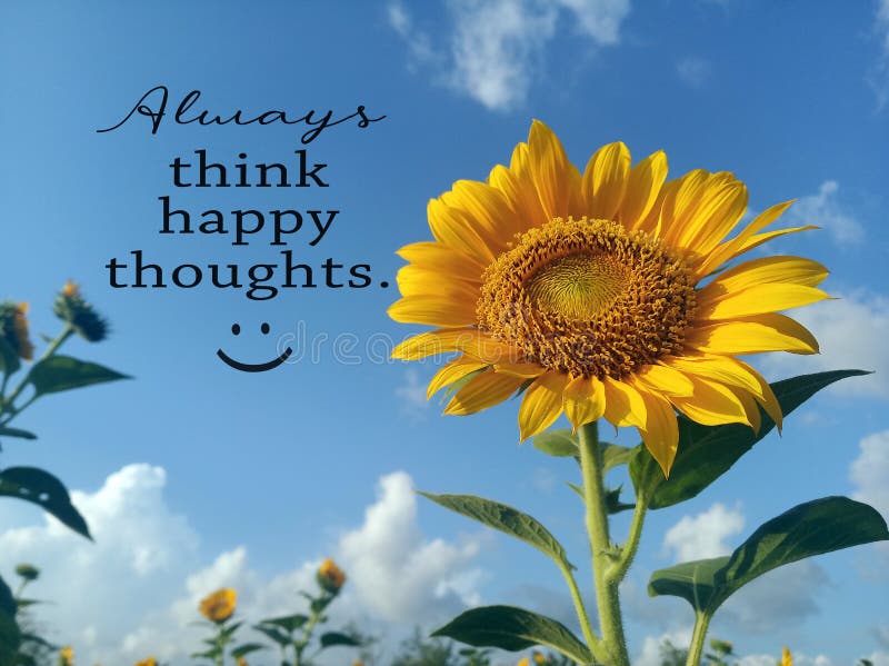 Inspiration Words - always Think Happy Thoughts. Summer and Spring  Inspirational Quote. Positive Motivational Quote with Sunflower Stock Photo  - Image of happy, flora: 212294496