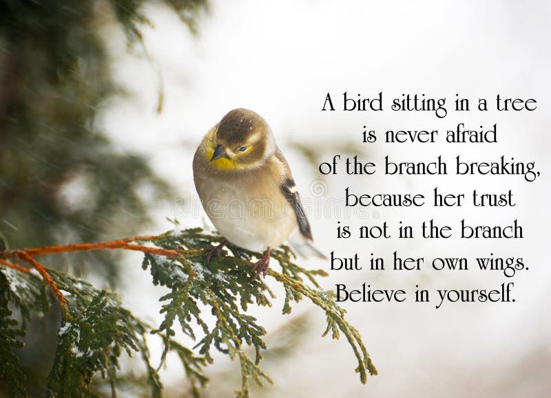 Inspirational citaat stock foto's Inspirational citaat stock foto's