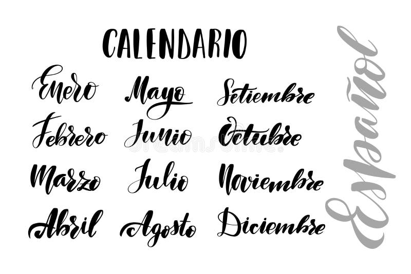 Inspirational handwritten brush lettering months in spanish. Vector calligraphy illustration isolated on white background. Typography for banners, badges, postcard, t-shirt, prints, posters