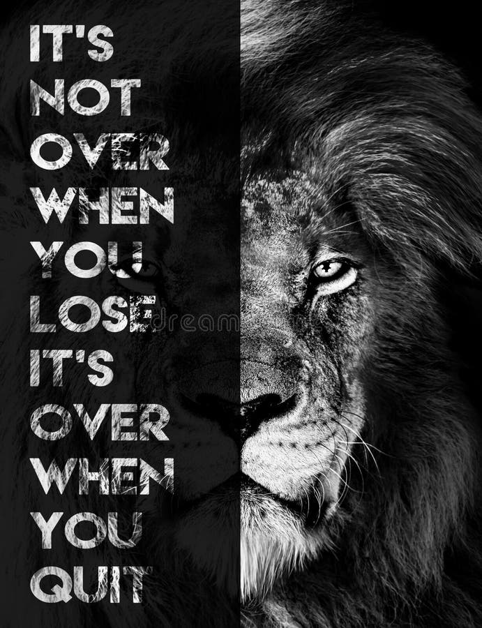 Inspirational Motivational Quote , it`s Not Over when You Lose it`s Over  when You Quit, Lion Stock Photo - Image of green, plant: 227501258