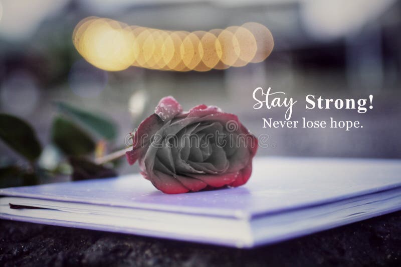 Whatever Happens Never Lose Hope Stock Illustration 694376848 | Shutterstock