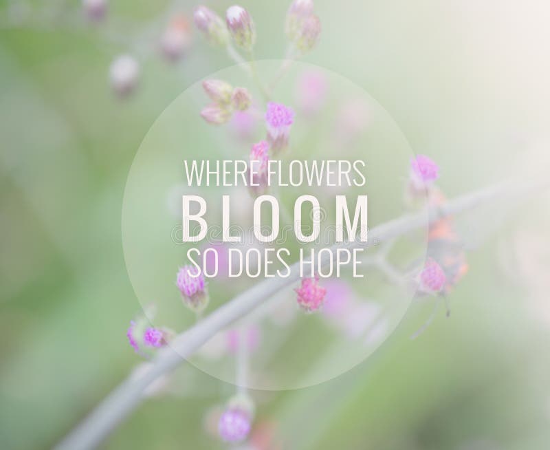 images Inspiration Inspirational Quotes With Floral Background 833 inspirational motivation quote