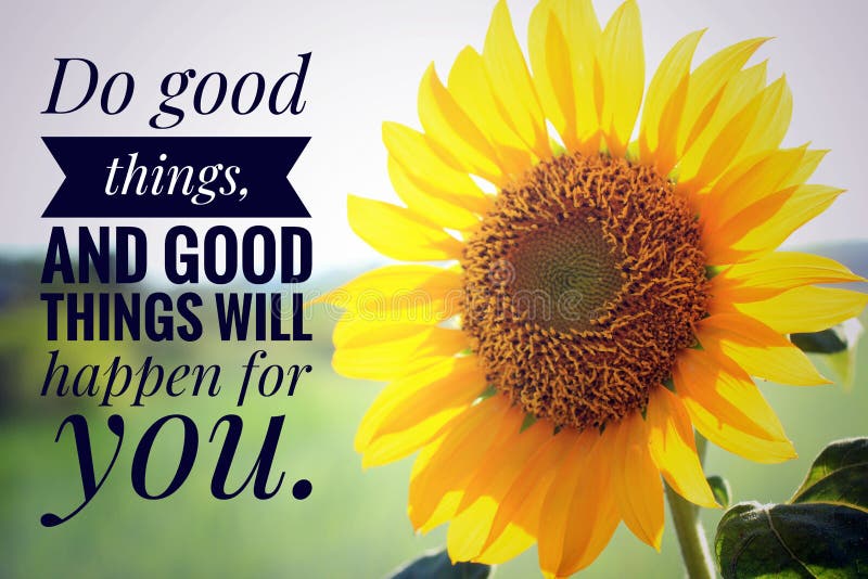 Inspirational quote - Do good things, and good things will happen for you. With closeup background of beautiful sunflower blossom in garden. Karma and kindness words concept with nature yellow flower. Inspirational quote - Do good things, and good things will happen for you. With closeup background of beautiful sunflower blossom in garden. Karma and kindness words concept with nature yellow flower.