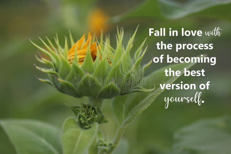 Inspirational quote - Fall in love with the process of becoming the best version of yourself. With young green sunflower plant.