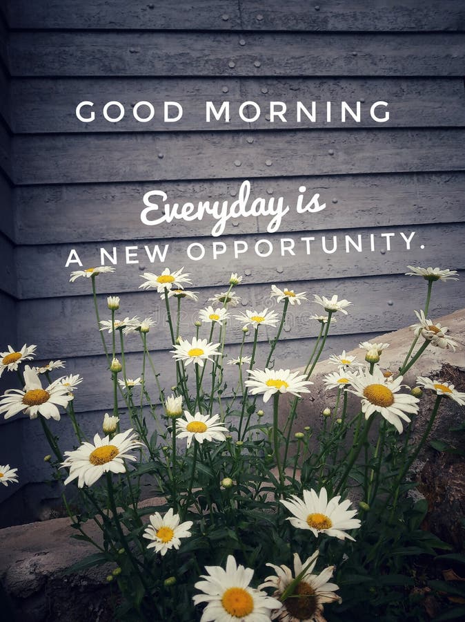 Inspirational quote - Good morning. Everyday is a new opportunity. With background of beautiful white daisy flowers blossom in the fresh garden & positive text greeting. Words of wisdom & motivational words on wall concept. Inspirational quote - Good morning. Everyday is a new opportunity. With background of beautiful white daisy flowers blossom in the fresh garden & positive text greeting. Words of wisdom & motivational words on wall concept