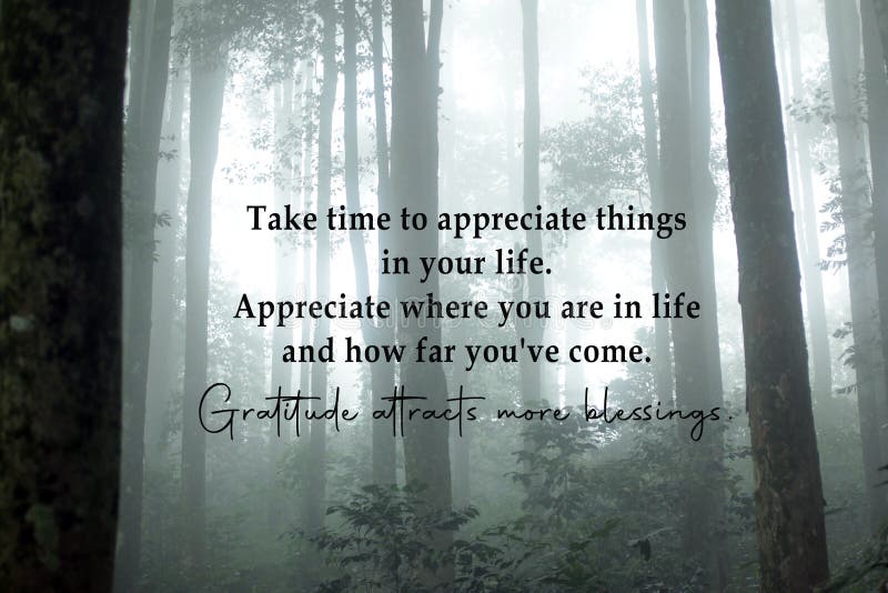 Gratitude quote - Take time to appreciate things in your life. Appreciate where you are in life and how far you have come.