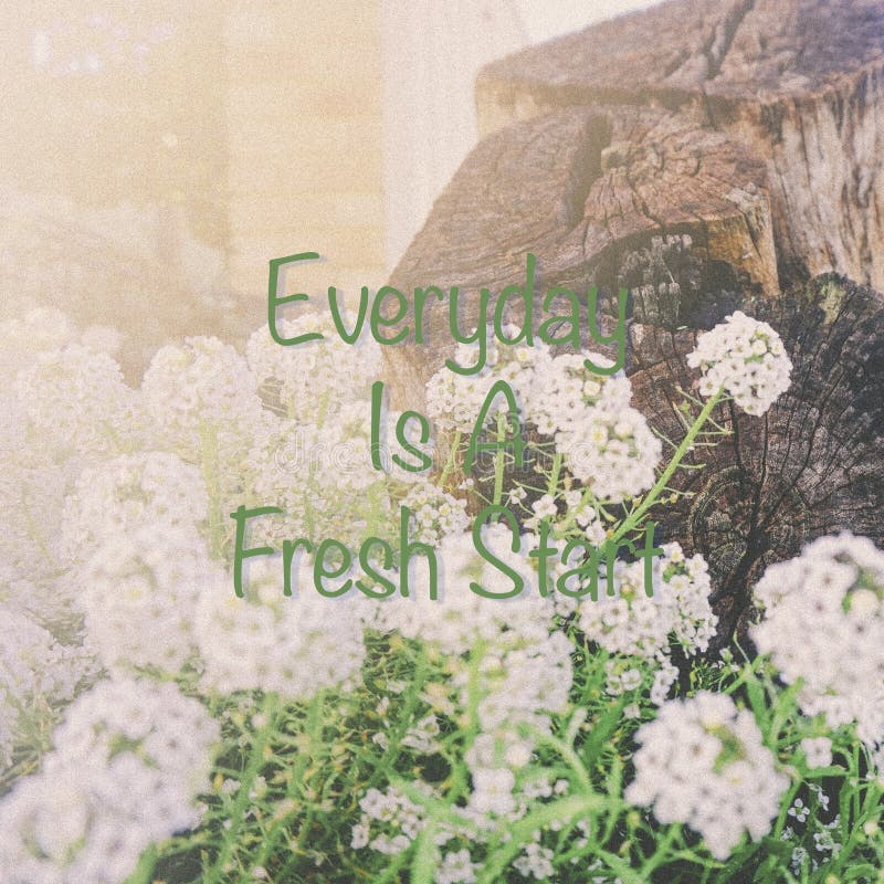 Inspirational quotes “ Everyday Is a Fresh Start “ on beautiful garden background stock image