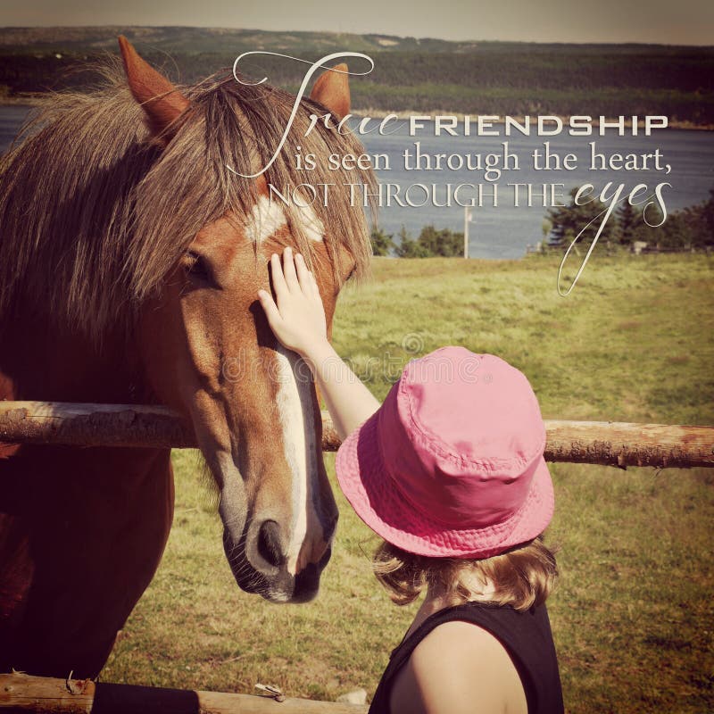 Instagram маленькой девочки petting лошадь с вдохновляющей цитатой стоковая фотография Instagram маленькой девочки petting лошадь с вдохновляющей цитатой стоковая фотография