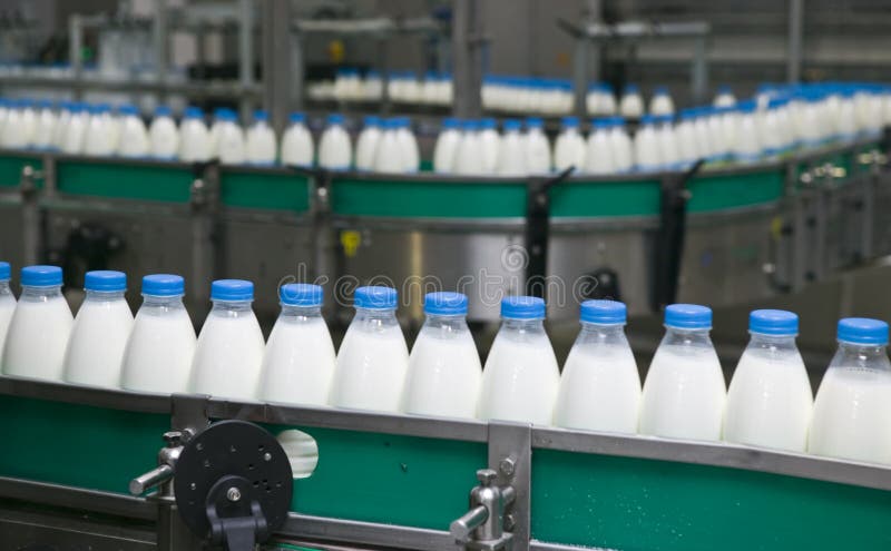 Dairy Plant. Conveyor with milk bottles. Dairy Plant. Conveyor with milk bottles.