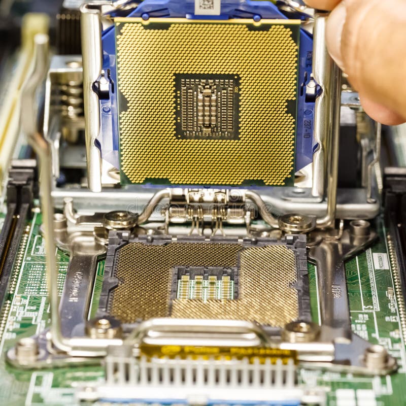 Installation des Prozessors auf dem Server-Motherboard im Detail stockbilder