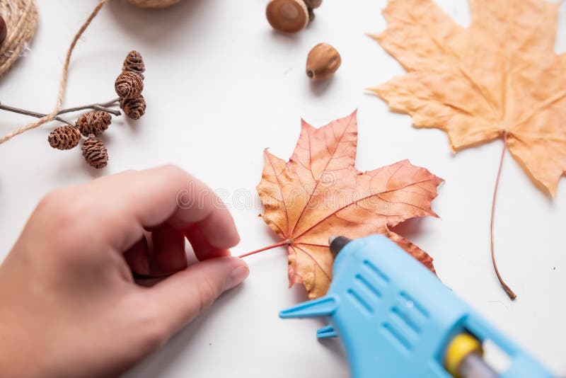 Instrucción Diy Paso Paso Para Embarcaciones Diy. Composición De Otoño En Glassa Regalo De Los Niños Conjunto De Creatividad Pas Imagen de archivo - de handmade: 234991447