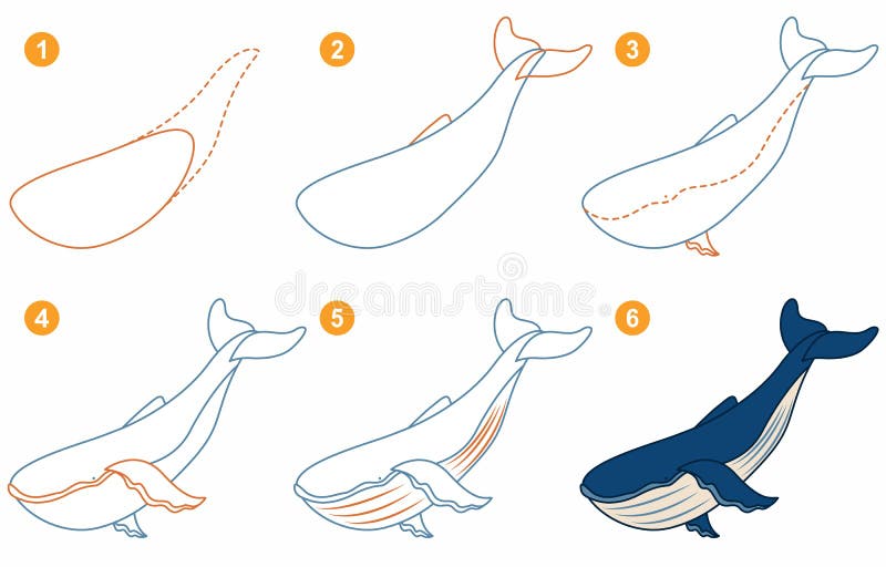  Instrucciones Para Dibujar Ballenas. Paso a Paso. Ilustración del Vector