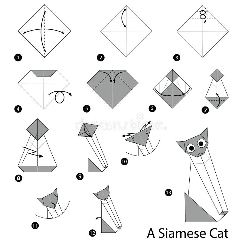 Instructions Etape Par Etape Comment Faire A Origami Un Chat Siamois Illustration De Vecteur Illustration Du Instructions Tete Instructions Etape Par Etape Comment Faire A Origami Un Chat Siamois Illustration De Vecteur Illustration Du Instructions Tete