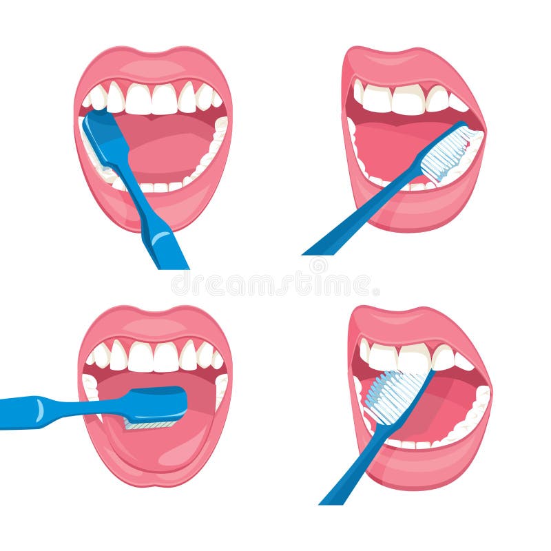 Instructions on How To Properly Brush Your Teeth with a Toothbrush