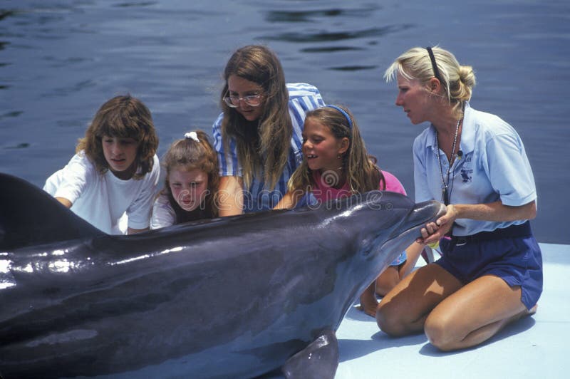 Instruktör med delfin och turister, teater av havet, Islamorada, FL