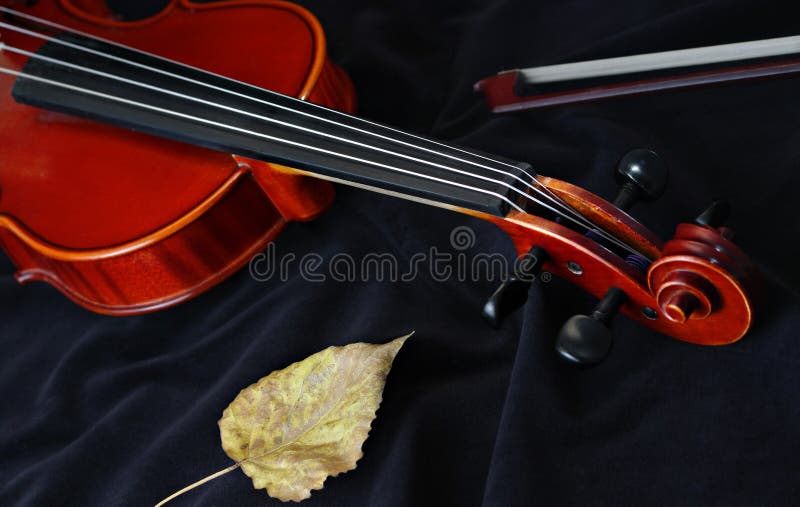 Instrumento clásico de la cadena del violín foto de archivo Instrumento clásico de la cadena del violín foto de archivo