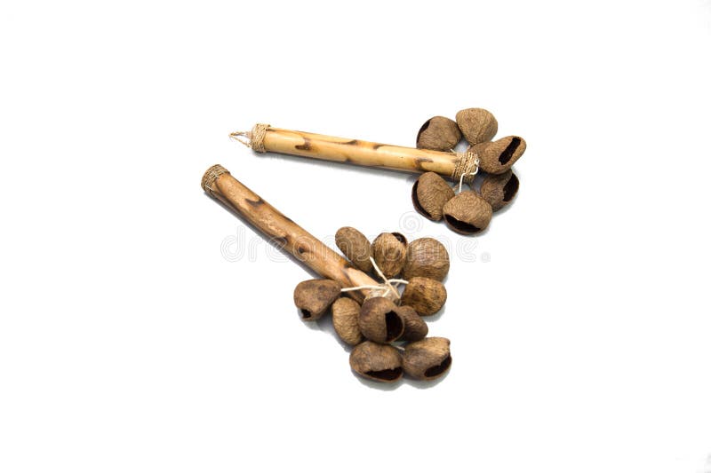 Instrumento musical étnico Chocalho do fruto da castanha com punho foto de stock Instrumento musical étnico Chocalho do fruto da castanha com punho foto de stock