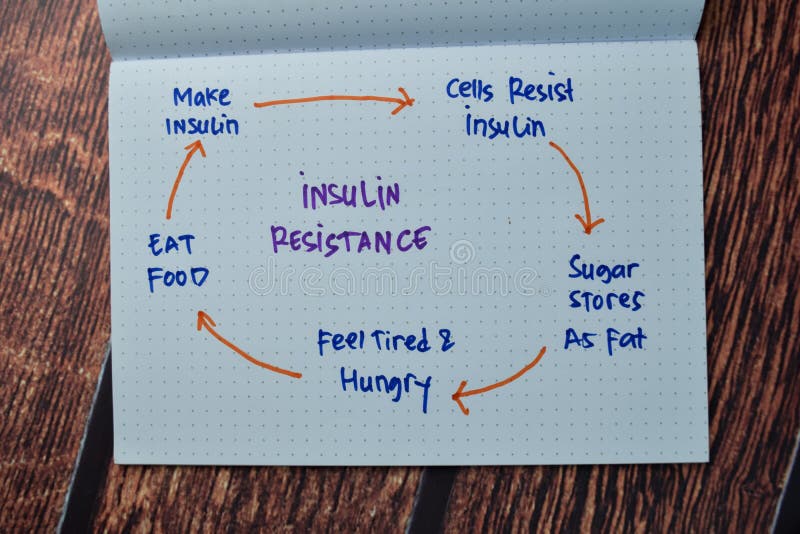 Insulina Resistance escribe en un libro con palabras clave tabla de madera aislada