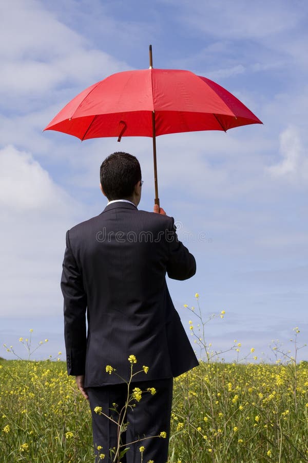 Business Insurance stock photo. Image of field, insurance 25301484