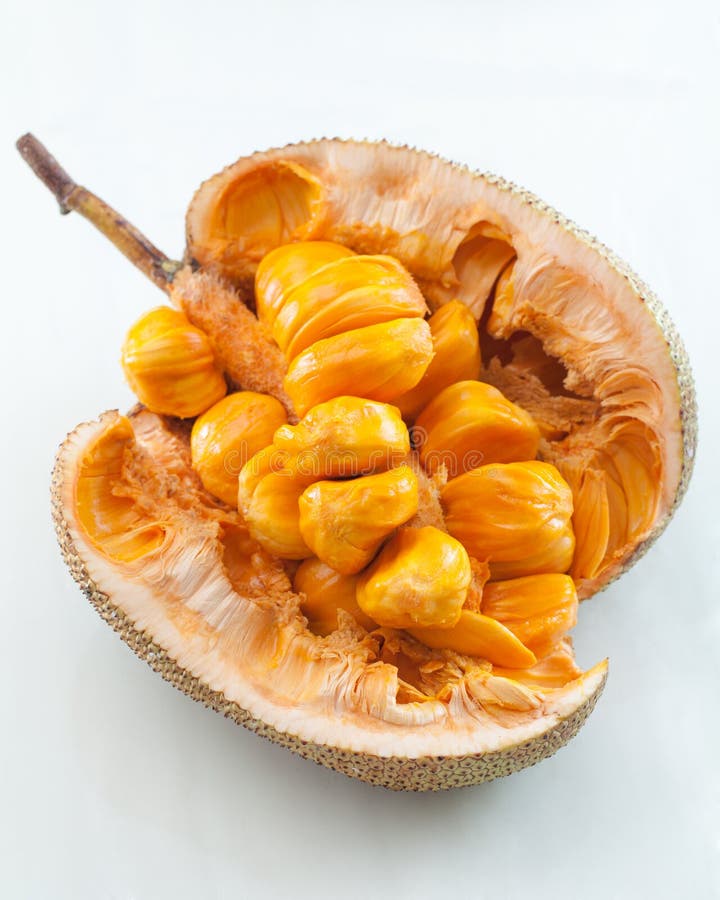 Inteiro de Artocarpus imagem de stock royalty free Inteiro de Artocarpus imagem de stock royalty free