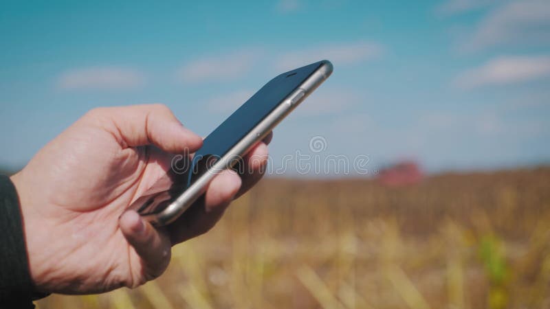 Intelligente Landwirtschaft Man nutzt Smartphone auf dem Bauernhof und nutzt Technologie, um die Zukunft vorherzusagen