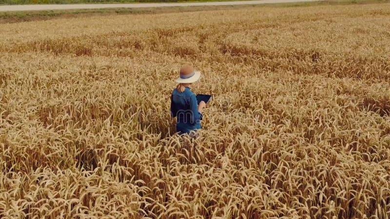 Intelligente Landwirtschaft moderne Bauer arbeiten mit digitalen Tablet in Getreidefeld. Luftbild