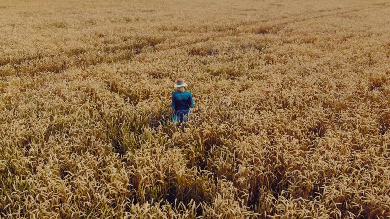 Intelligente Landwirtschaft moderne Bauer arbeiten mit digitalen Tablet in Getreidefeld. Luftbild