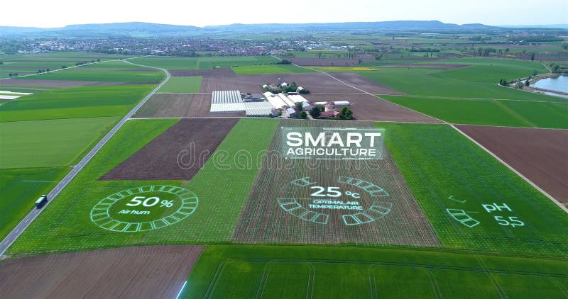 Intelligente Landwirtschaft. Visualisierung moderner Gewächshäuser. das Konzept moderner Gewächshäuser.