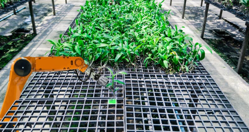Intelligente Roboterlandwirte Roboter-Automatisierungspflanzen der Landwirtschaft im futuristischen stockbilder