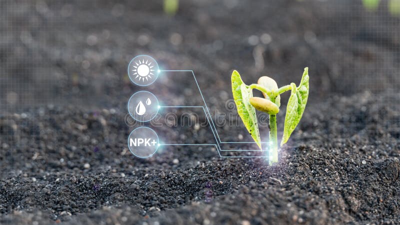 Intelligente Technik des Zuchtbetriebs 40 der Überwachung des Wachstums von sprougt Ernte lizenzfreie stockfotografie