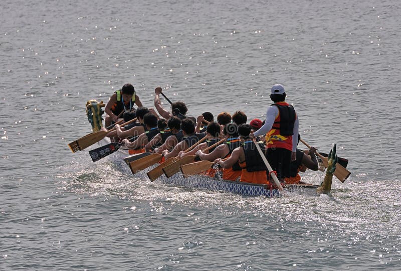 Intense Dragon Boat Paddling Editorial Photo Image of paddling