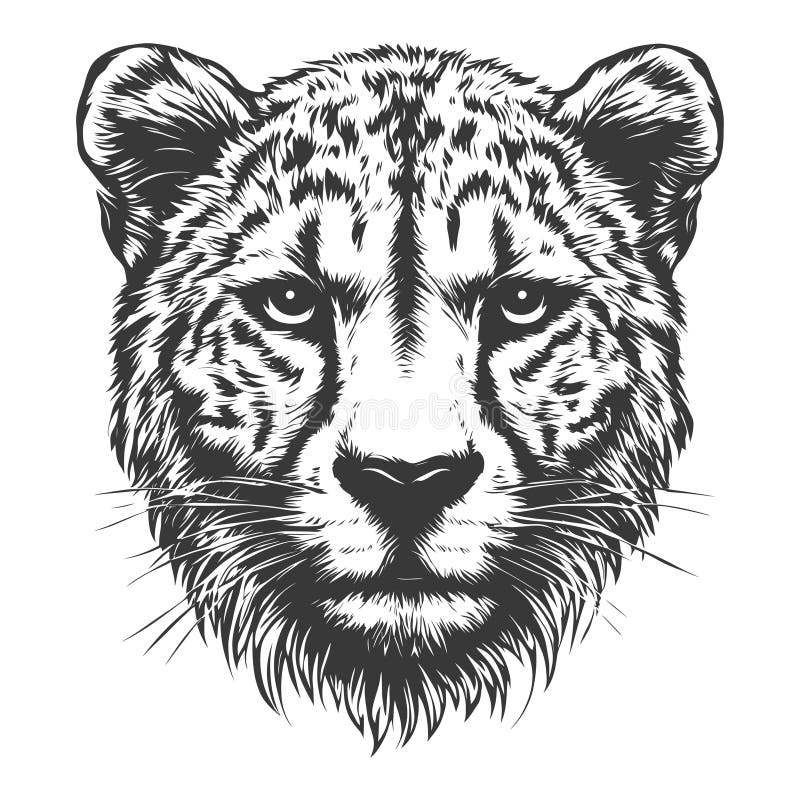Intensiv Cheetah Head Portrait Schwarz-Weiß Illustration stock abbildung