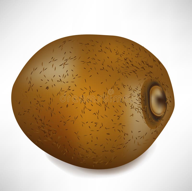 Intera frutta di kiwi royalty illustrazione gratis