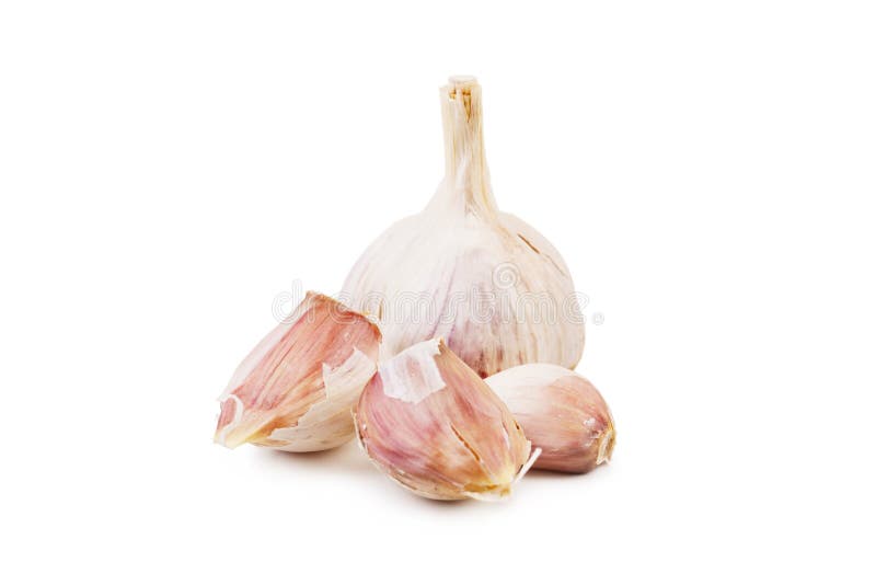 Intera testa fresca dell'aglio e tre chiodi di garofano di aglio, isolati su un fondo bianco Ingredienti naturali per cucinare immagine stock Intera testa fresca dell'aglio e tre chiodi di garofano di aglio, isolati su un fondo bianco Ingredienti naturali per cucinare immagine stock