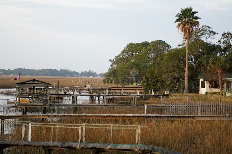 Intercoastal stock photo. Image of marsh, coastal, tall - 23278082