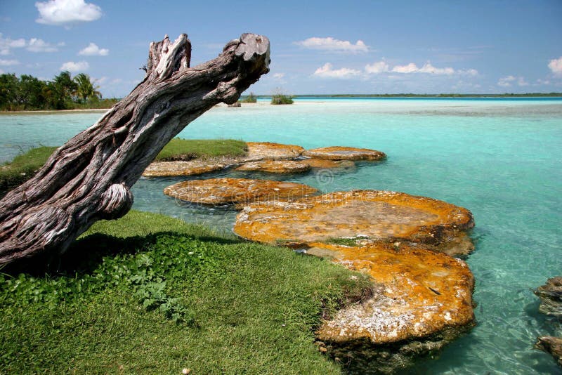 Interesting limestone formations