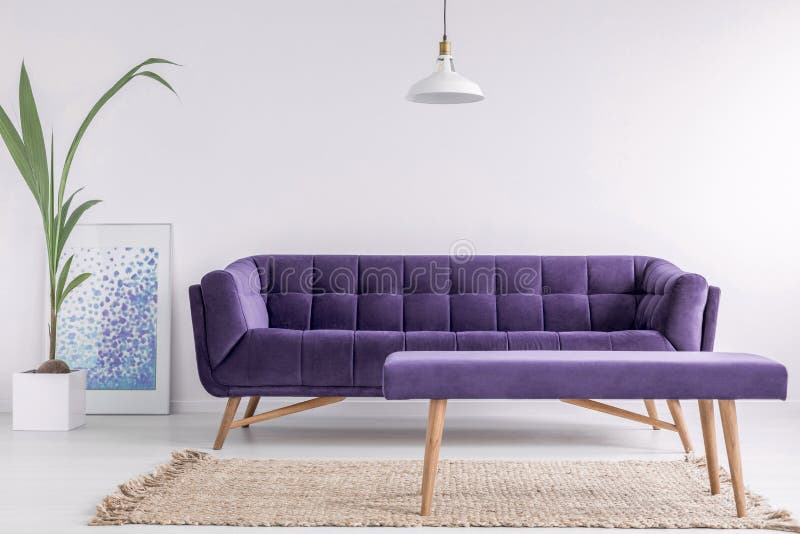 Interior al unei camere de zi strălucitoare, cu poster vegetal proaspăt și covor pe podea și canapea violet și bancă în fotografie royalty free stock photography
