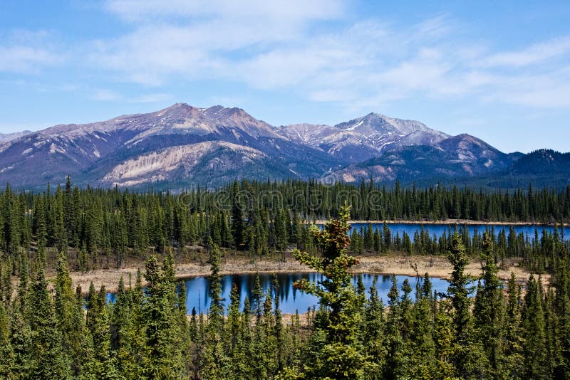 Interior Alaska stock image. Image of vacation, united 22095917