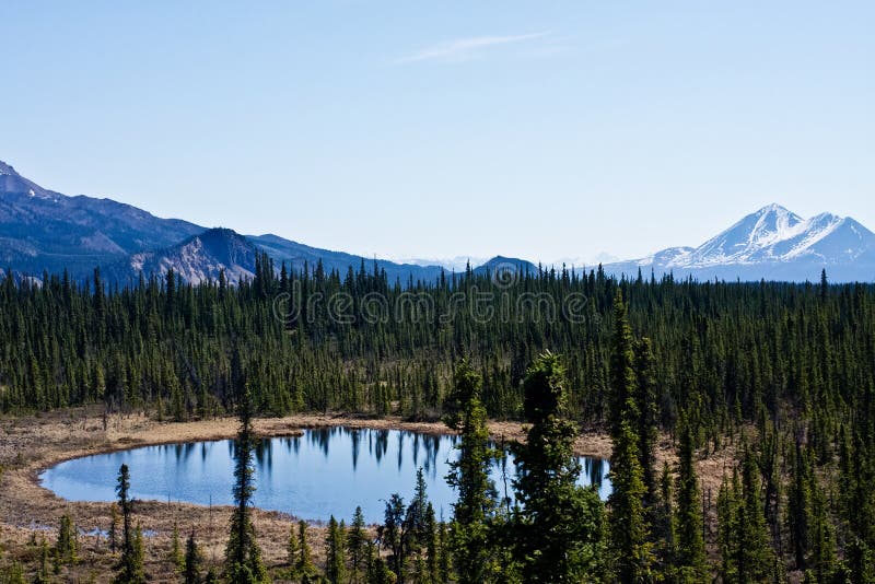 Interior Alaska stock image. Image of remote, alaska 22307059