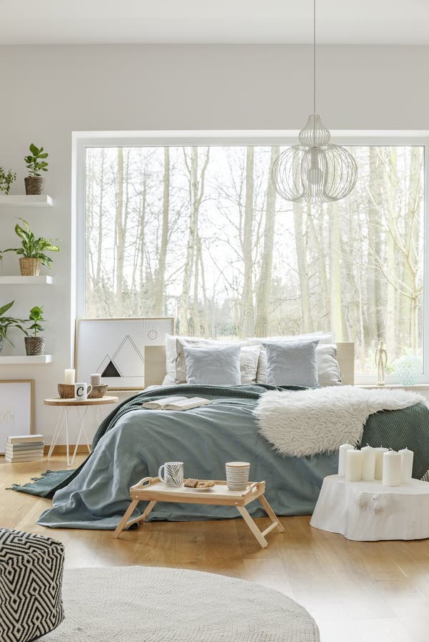 Plantas En Estantes Sobre Un Canapé De Madera Con Un Amortiguador Verde En  Un Interior Soleado De La Sala De Estar Con Las Parede Foto de archivo -  Imagen de verde, sitio