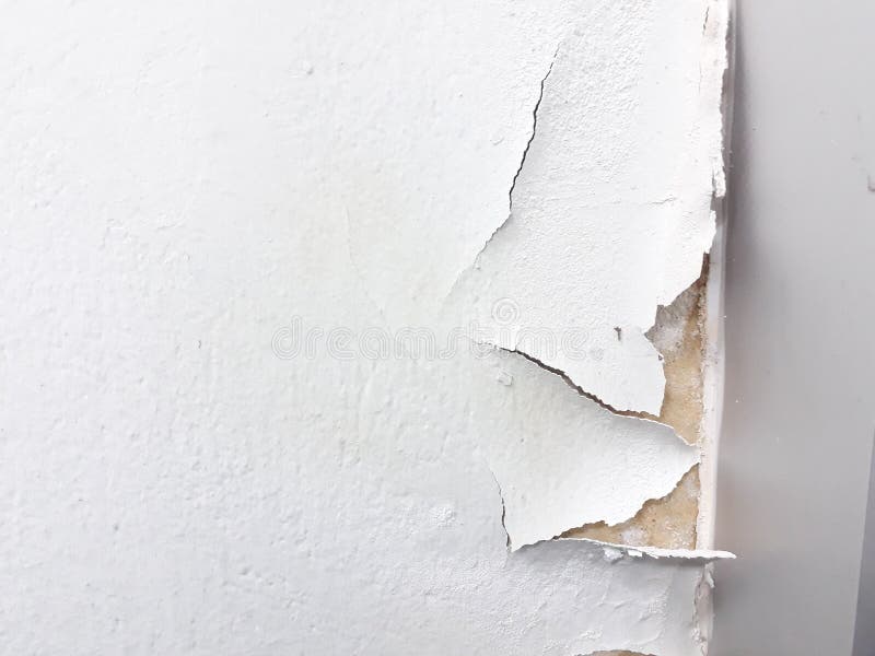 Interior Concrete Walls, Skimmed Paint from Moisture. Stock Image