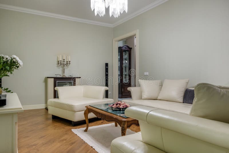 Interior of Expensive Living Room in Studio Apartments or Flat with Sofa Stock Photo Image of