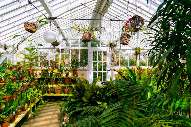 Interior of a Glass Greenhouse in Pena Park, Sintra Stock Photo - Image ...