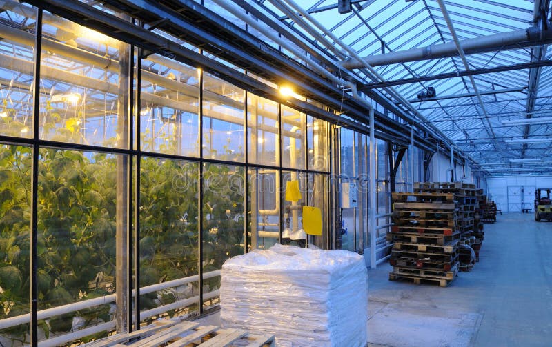 The interior of glasshouse